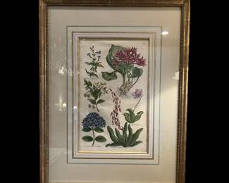 COLORED COPPER PLATE ENGRAVING, CUSTOM FRAMED, 25 1/2 HIGH BY 19 1/2 WIDE