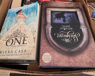 Great assortment of books 