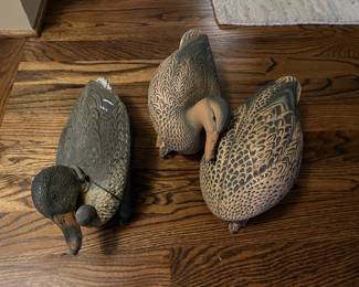 Duck decoys