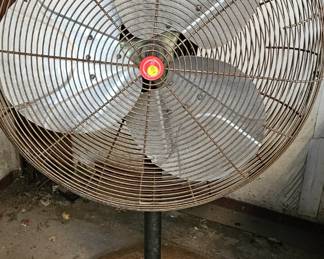 FAN
