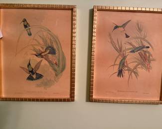 set of 3 vintage prints
