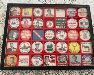 Democratic Collectible Campaign Pins