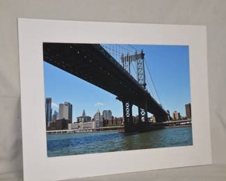 Beautiful Professional photographs