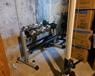 Dumbell stand with weights