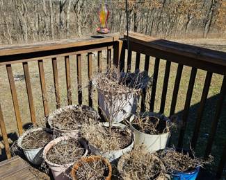 Flower pots