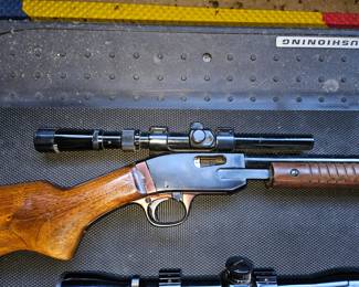 Savage .22 pump rifle