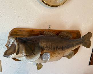 Bass Mount