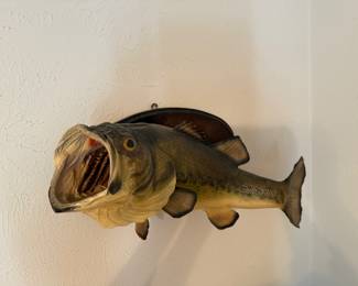 Bass Mount