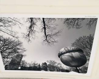 Giant Acorn In Raleigh