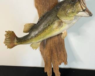 Large Mouth Bass Decor