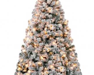 7.5 Ft Albany Pre Lit Tree W Skirt