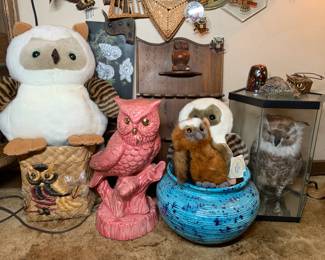 Taxidermy owl!