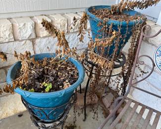 Planters/plant stands