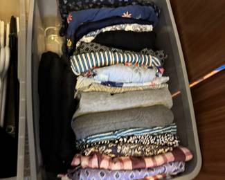 Women's Clothing (Pants sizes 4-8, Tops most medium)