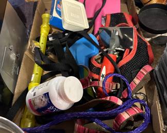 Pet are needs, collars and leashes