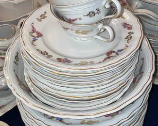 Large China Dishware Set From Germany