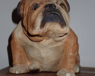 BULL DOG
