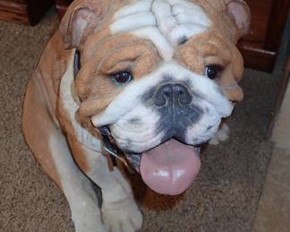 BULL DOG