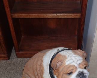 BOOKCASE - BULL DOG