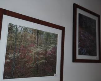 many signed photos