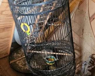 Bird Cage