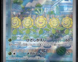 Pokemon Card