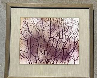 Lot # : 363z - Framed original photograph