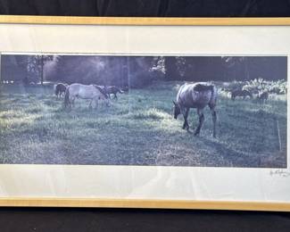 Lot # : 307z - Framed signed original photo of horses grazing