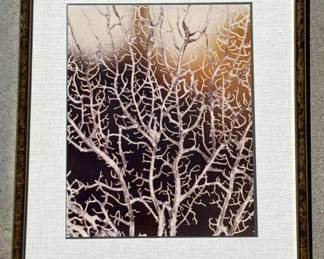Lot # : 362z - Framed original photograph