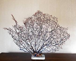21 LargeSeaFanCoralonAcrylicBaseCoastalOceanDecorDisplay