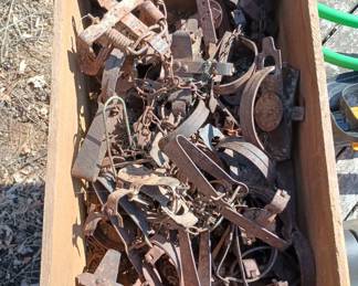 Trapper's steel traps , 42 available 