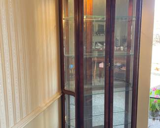 Glass and wooden curio cabinet with lights