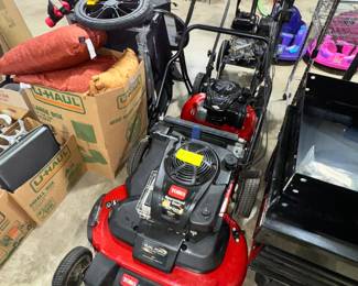 Toro Lawn Mowers Orlando Estate Auction
