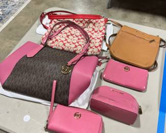 Michael Kors Wallet and Purses Orlando Estate Auction