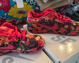 The Wizard of Oz × Nike SB Dunk Low Pro Poppy Field