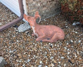 Fawn