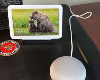 Google Nest Hub