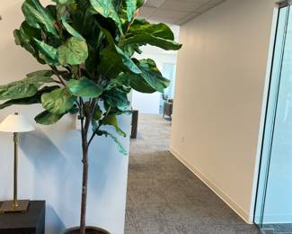 Tree with Carved concrete Vessel extra large
Buy Now $350