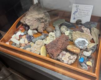 Lot 61: Geology 101…a collection of rocks, geodes & fossils on a wooden tray