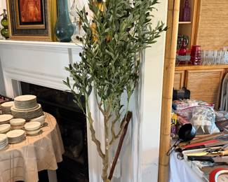 Set of 2 brand new 7' Olive trees. Removed them from the original box.