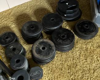We have SOOOOO many weights of every single configuration! Here is a collection of weight plates from 1 1/4 Lbs to 20 Lbs!