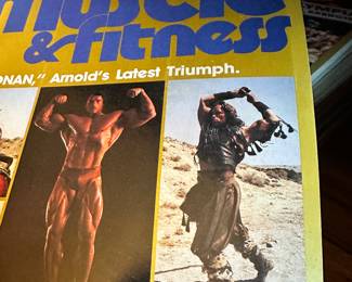 A TON of Absolutely VINTAGE and PRISTINE Muscle & Fitness Magazines! MANY Schwarzenegger and Lou Ferrigno Jr!