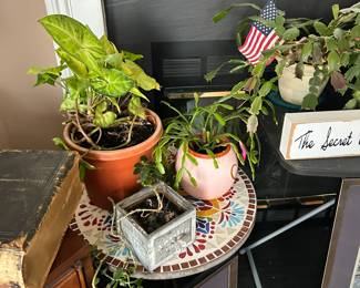 Live plants
