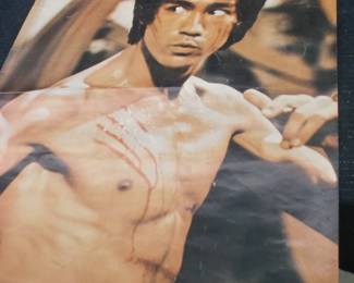 Bruce Lee Poster