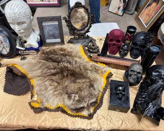 Taxidermy 