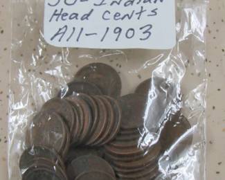 Indian Head Cents
