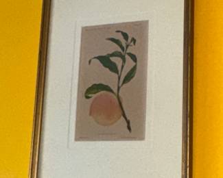 A. Hoen and Co Litho
William H Fecit