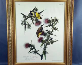 Audubon Framed Under Glass American Goldfinch Print