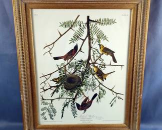 Audubon Print