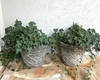 Two Planters With Plants